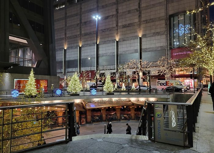 Water Tower Place photo