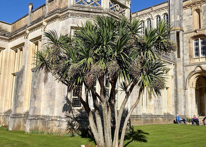 Highcliffe Castle photo