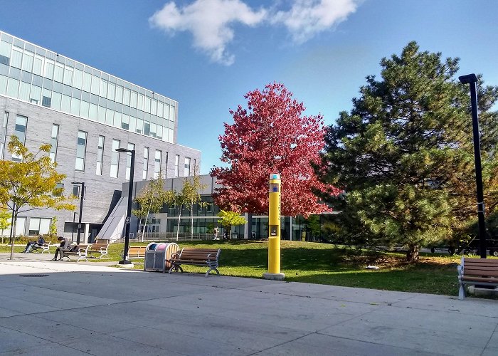 Humber College photo