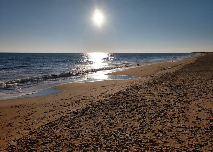 Sandbridge Beach photo