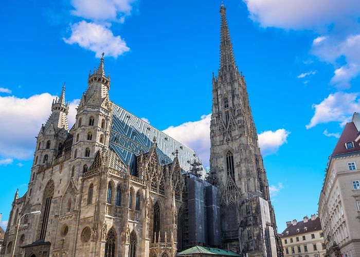 St. Stephen's Cathedral photo