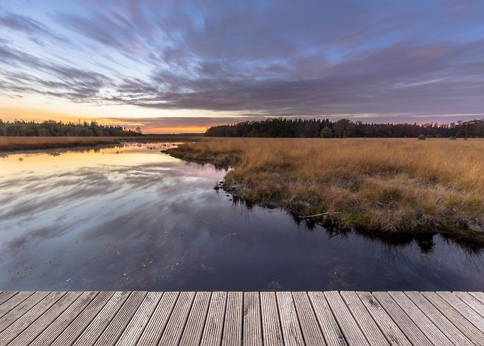 Drentsche Golf Visit Assen: 2024 Travel Guide for Assen, Drenthe | Expedia photo