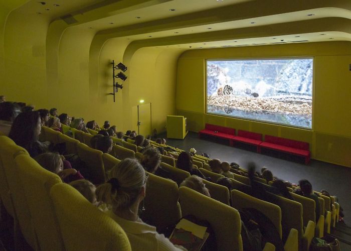 Gaîté Lyrique Theatre La Gaîté Lyrique | Auditorium photo