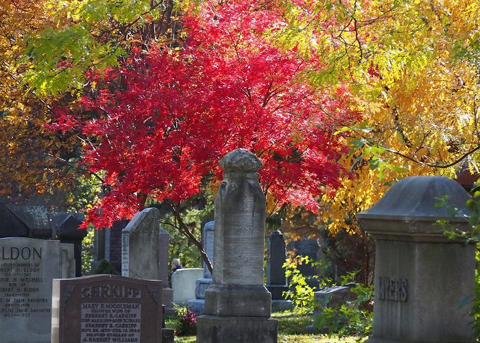 Mount Pleasant Cemetery mount pleasant cemetery autumn toronto – Gloomth & the Cult of ... photo