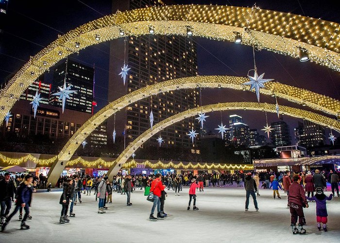 Otter Creek Rink Toronto's free outdoor skating rinks are opening for the season photo