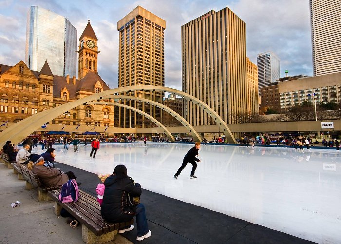 Otter Creek Rink The top 25 outdoor skating rinks in Toronto by neighbourhood photo