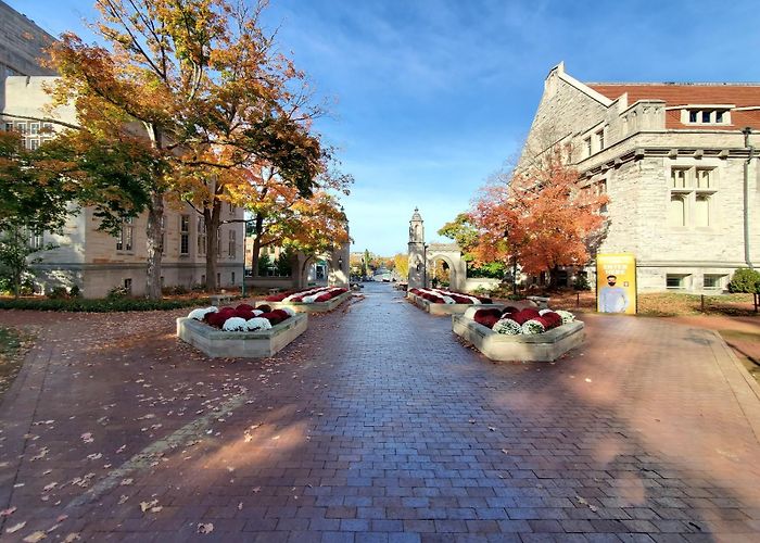 Bloomington photo