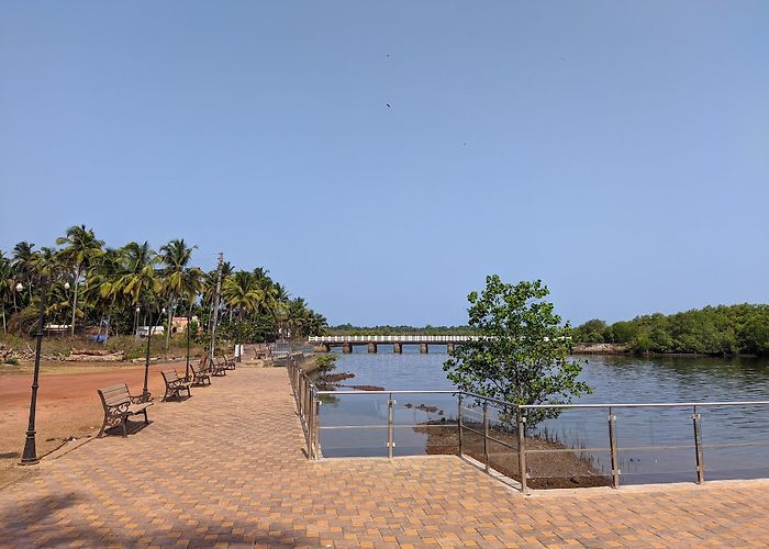 Malvan photo