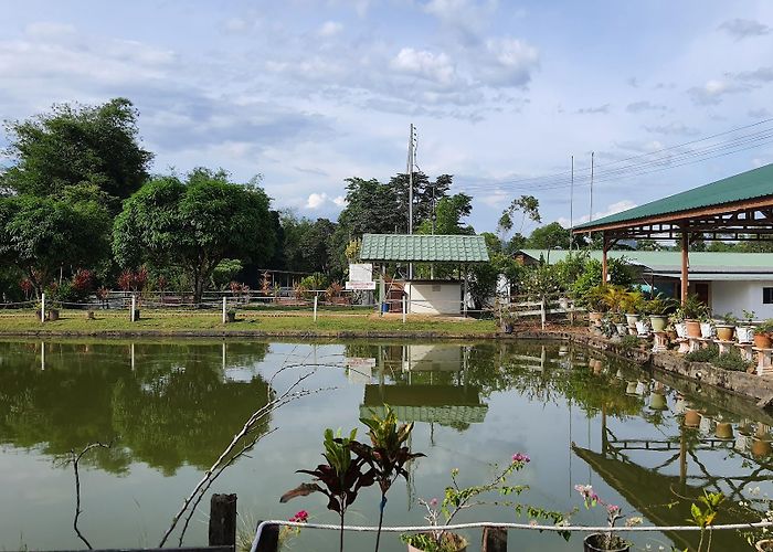 Ranau photo