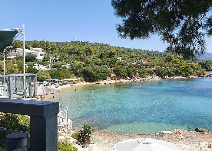 Elia Nikitis photo