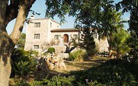 Gasthaus Agroturismo Ses Illes Costitx  Exterior photo