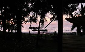 Life For Life Hostel Drake Bay Home Of Sea Turtle Marine Conservation Project Osa Peninsula Near San Josecito Beach Exterior photo