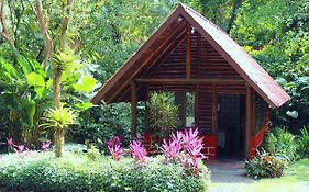 Arenal Oasis Eco Lodge&Wildlife Refuge La Fortuna Exterior photo