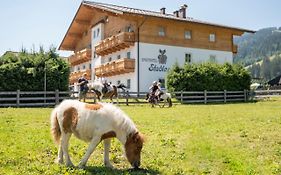 Aparthotel Stadler Flachau Exterior photo