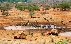 Kilaguni Serena Safari Lodge Tsavo Exterior photo