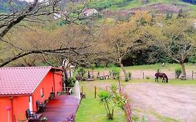 Villa Quinta Do Fijo Arcos de Valdevez Exterior photo