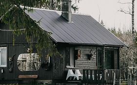 Villa Private Farm Jakuzzi Sauna In The Forest Talsi Exterior photo