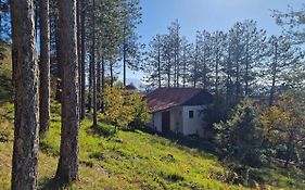 Hostel Bujtinat Skenderi Gjinar Exterior photo