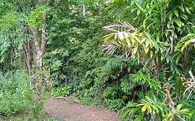 Cabanas Bajo Bosque Drake Drakes Bay Exterior photo