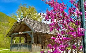 Camping Danica Cottage Stan Bohinj Exterior photo