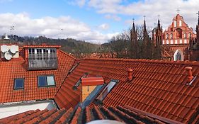 Private Sauna & 4 Bedrooms Old Town Rooftop Apartment Wilna Exterior photo