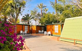 Hotel Camping Las Palmeras Crevillente Exterior photo