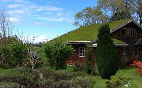 Bed and Breakfast Zapato Amarillo Bed & Breakfast Puerto Octay Exterior photo