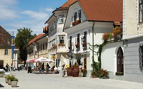 Hotel Pension Lectar Radovljica Exterior photo