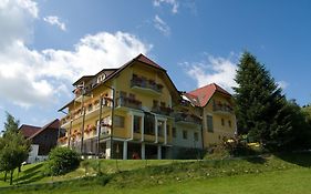 Hotel Wildwiesenhof Miesenbach  Exterior photo