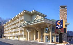 Comfort Inn & Suites At Dollywood Lane Pigeon Forge Exterior photo