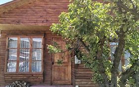 Bed and Breakfast Sol De La Patagonia Puerto Guadal Exterior photo