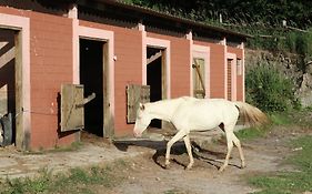 Big Valley Hotel Fazenda Serra Negra  Exterior photo