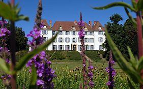 Bed and Breakfast Chateau De Matel Roanne Exterior photo