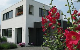 B&B De Beverhoek Roggel Exterior photo