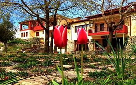 Hotel Evridiki Vergina Exterior photo