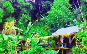 Blue Butterfly Hotel Puerto Viejo de Talamanca Exterior photo