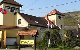 Bed and Breakfast Torkolat Panzio Tokaj Exterior photo