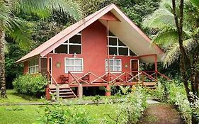 Caribbean Paradise Eco-Lodge Tortuguero Exterior photo