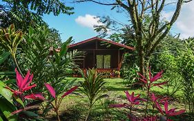 Hotel Faro Arenal La Fortuna Exterior photo