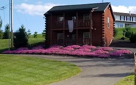 Bed and Breakfast Amish Blessings Cabins Millersburg Exterior photo
