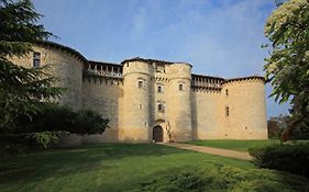 Bed and Breakfast Chateau De Mauriac Senouillac Exterior photo