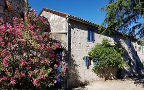 Villa The Istrian Vrsar Exterior photo