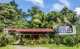 Hostel Drake Bay Backpackers Exterior photo