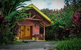 Selvita Lodge Arenal La Fortuna Exterior photo