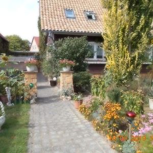 Vermiete schöne Ferienwohnung/Apartment in Dankerode im Harz. Exterior photo