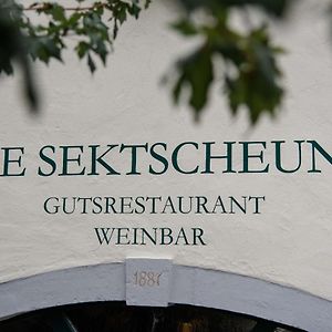 Hotel Weingut und Gästehaus Zilliken Nittel Exterior photo