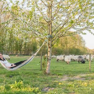 Bed and Breakfast Pipowagen Lidewei Groningen Westerwolde Unieke Ligging Met Eigen Tuin En Vrij Uitzicht Over Veld Naar Natuurgebied Onstwedde Exterior photo