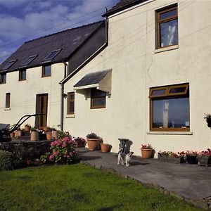 Bed and Breakfast Plas Newydd Farm Llanedy Exterior photo