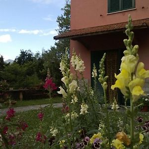 Bed and Breakfast La Torretta Bed & Breakfast Torriglia Exterior photo