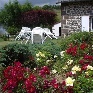 Bed and Breakfast Ferme De Lamourio Saint-Cernin  Exterior photo